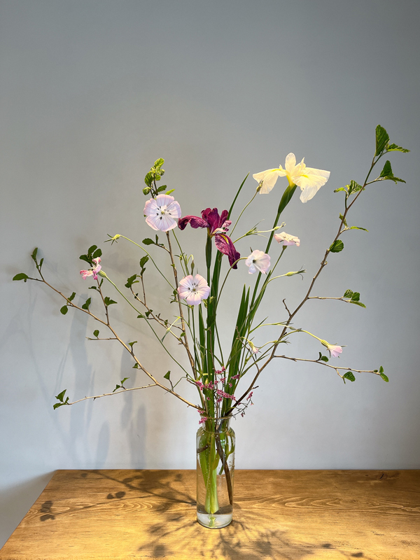 花菖蒲